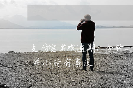 支付宝花呗逾期1分钟-支付宝花呗逾期了半小时有事没