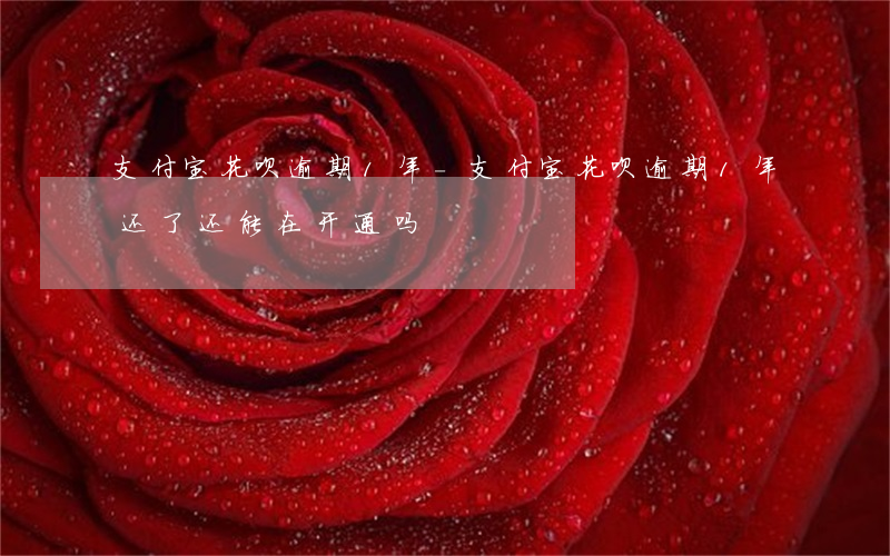 支付宝花呗逾期1年-支付宝花呗逾期1年还了,还能在开通吗?