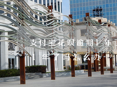 支付宝花呗逾期1年了吗-支付宝花呗逾期1年了吗怎么办