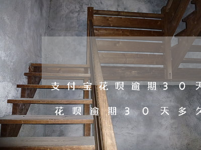 支付宝花呗逾期30天多久还能用-支付宝花呗逾期30天多久还能用啊