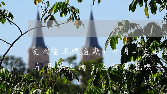 支付宝花呗逾期3个月-支付宝花呗逾期3个月后还清了还能用花呗吗