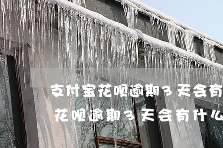 支付宝花呗逾期3天会有什么后果-支付宝花呗逾期3天会有什么后果吗