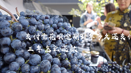 支付宝花呗逾期3年多久还 支付宝花呗逾期三年怎么还款