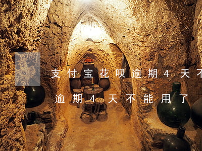 支付宝花呗逾期4天不能用了-支付宝花呗逾期4天不能用了
