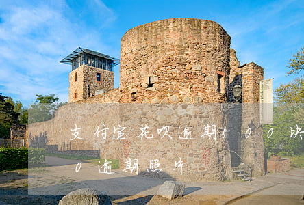 支付宝花呗逾期500块钱（支付宝花呗500逾期照片）