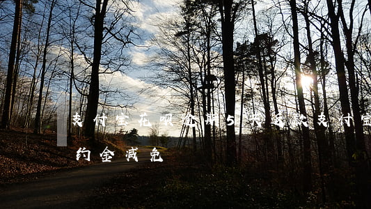支付宝花呗逾期5天返款(支付宝花呗逾期违约金减免)