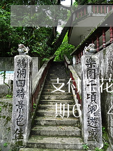 支付宝花呗逾期624的图片（支付宝花呗逾期624的图片）