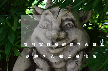 支付宝花呗逾期7天会上征信吗(支付宝花呗逾期7天会上征信吗)