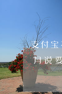 支付宝花呗逾期9个月(支付宝花呗逾期9个月说要冻结账号)