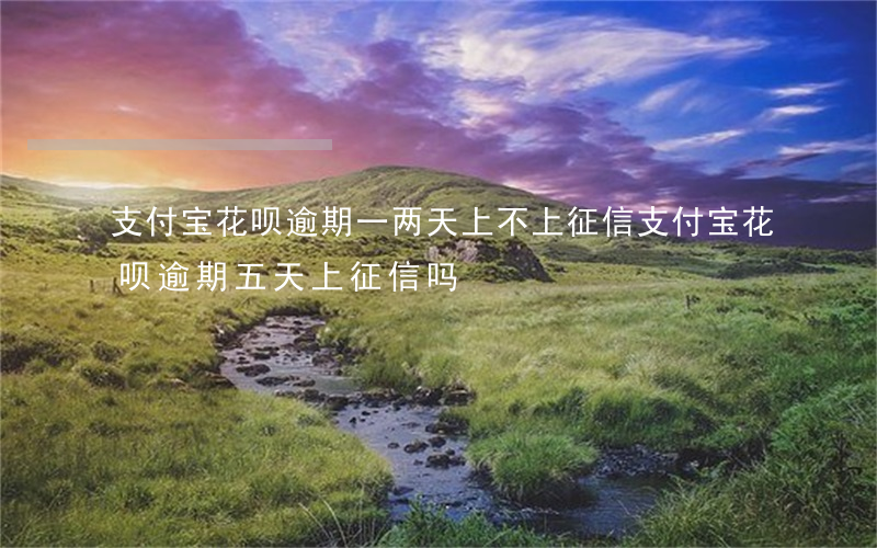 支付宝花呗逾期一两天上不上征信 支付宝花呗逾期五天上征信吗