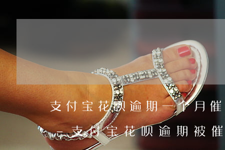 支付宝花呗逾期一个月催收人员说要起诉我-支付宝花呗逾期被催收