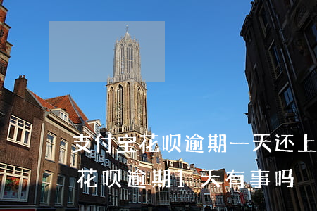 支付宝花呗逾期一天还上扣多少钱-支付宝花呗逾期1天有事吗?