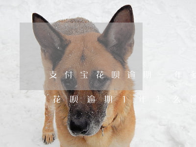 支付宝花呗逾期一年多会怎么样呀-支付宝花呗逾期1年怎么算