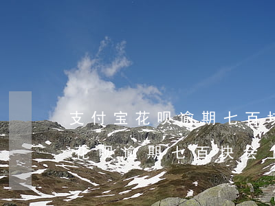 支付宝花呗逾期七百块会上征信吗-支付宝花呗逾期七百块会上征信吗知乎