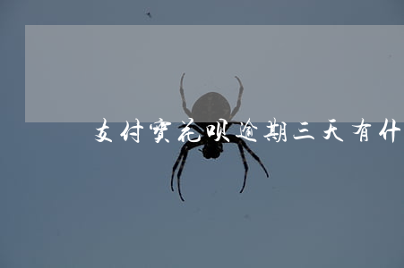 支付宝花呗逾期三天有什么后果