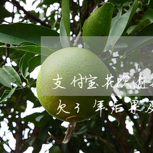 支付宝花呗逾期三年欠了500(花呗500欠3年后果及逾期费用是多少)