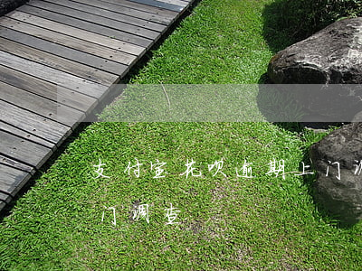 支付宝花呗逾期上门调查(支付宝逾期多久上门调查)