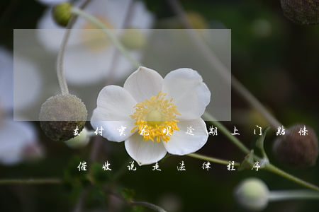 支付宝花呗逾期上门贴条-支付宝花呗逾期催收说走法律程序