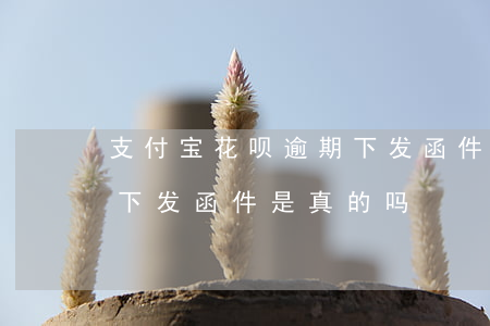 支付宝花呗逾期下发函件-支付宝花呗逾期下发函件是真的吗