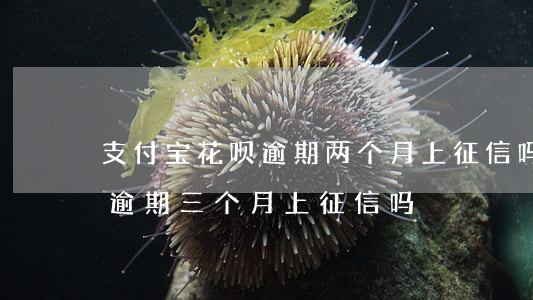 支付宝花呗逾期两个月上征信吗 支付宝花呗逾期三个月上征信吗