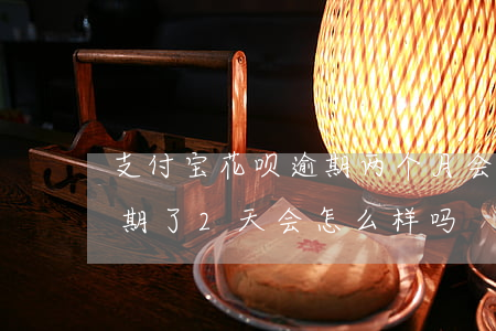 支付宝花呗逾期两个月会咋样(支付宝花呗逾期了2天会怎么样吗)