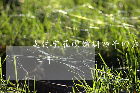 支付宝花呗逾期两年的后果(支付宝花呗逾期三年)