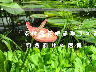 支付宝花呗逾期了2天(支付宝花呗逾期两个月会有什么后果?)