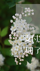 支付宝花呗逾期了七年(支付宝花呗欠三千逾期了五个月会起诉吗)