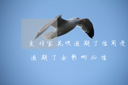 支付宝花呗逾期了信用受影响么(支付宝花呗逾期了会影响征信)
