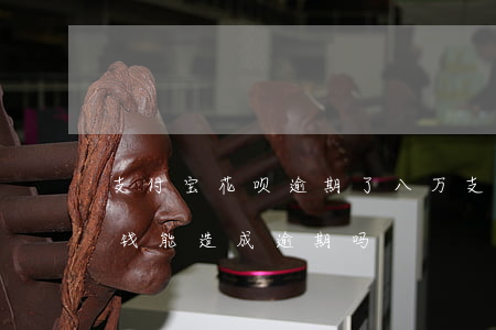 支付宝花呗逾期了八万(支付宝花呗欠几百块钱能造成逾期吗?)
