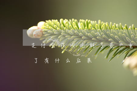 支付宝花呗逾期了最严重(支付宝的花呗逾期了有什么后果)