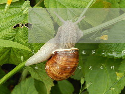 支付宝花呗逾期了没钱还会怎样(支付宝花呗逾期没还会怎么样)