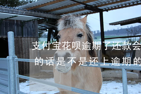 支付宝花呗逾期了还款会扣额度嘛(花呗逾期的话是不是还上逾期的钱就可以了)