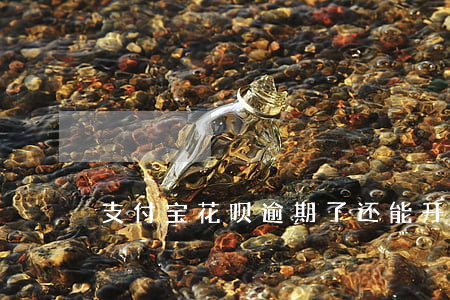 支付宝花呗逾期了还能开通吗