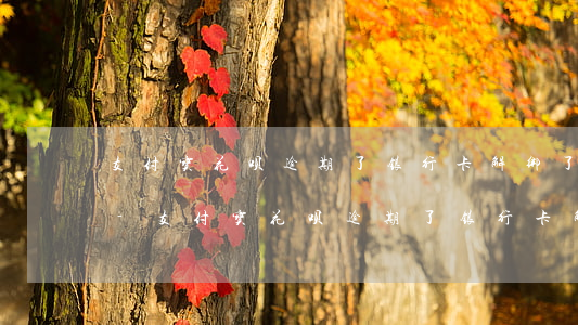 支付宝花呗逾期了银行卡解绑了还会扣钱吗-支付宝花呗逾期了银行卡解绑了还会扣钱吗