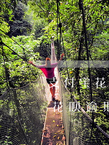 支付宝花呗逾期五六天会有事情吗-支付宝花呗逾期五六天会有事情吗