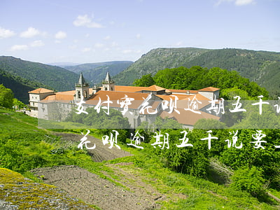 支付宝花呗逾期五千说要上门调查-支付宝花呗逾期五千说要上门调查是真的吗