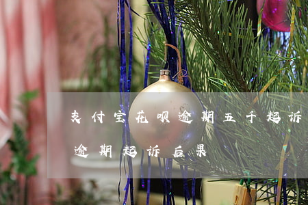 支付宝花呗逾期五千起诉（支付宝花呗1万7逾期起诉后果）