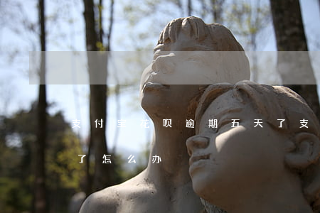 支付宝花呗逾期五天了(支付宝花呗逾期五天了怎么办)