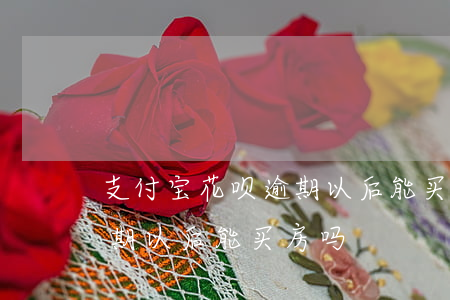 支付宝花呗逾期以后能买房-支付宝花呗逾期以后能买房吗