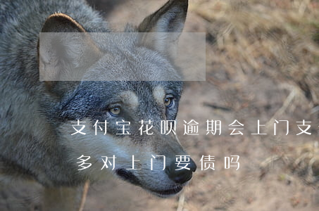 支付宝花呗逾期会上门(支付宝花呗逾期两千多对上门要债吗?)