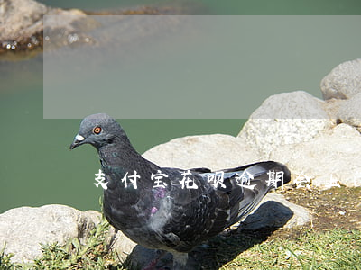 支付宝花呗逾期会上门还账嘛