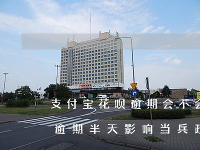 支付宝花呗逾期会不会影响当兵(支付宝花呗逾期半天,影响当兵政审吗)