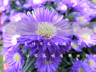 支付宝花呗逾期会不会给通讯录打电话-支付宝花呗逾期会不会给通讯录打电话