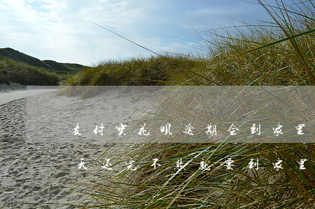 支付宝花呗逾期会到家里吗-花呗逾期说今天还完不然就要到家里去