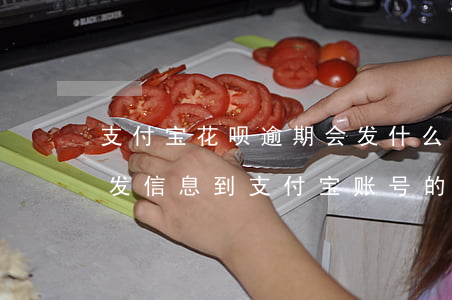 支付宝花呗逾期会发什么短信-花呗逾期会发信息到支付宝账号的手机吗