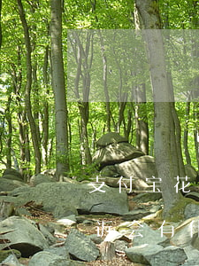 支付宝花呗逾期会立案(支付宝花呗逾期被起诉会有什么后果严重)