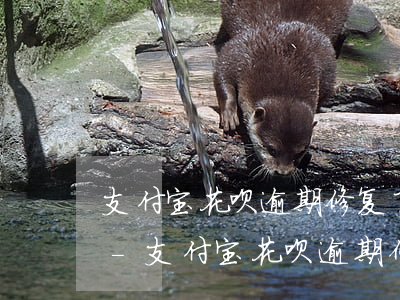 支付宝花呗逾期修复了要多久才能继续使用-支付宝花呗逾期修复了要多久才能继续使用?