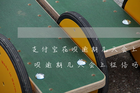 支付宝花呗逾期几天会上征信吗-支付宝花呗逾期几天会上征信吗