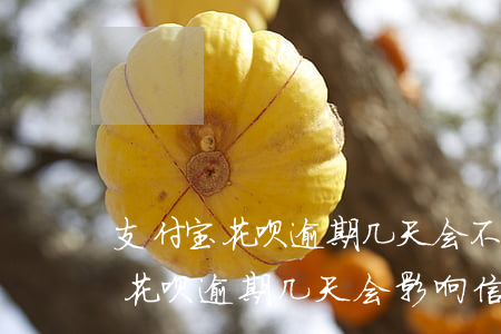 支付宝花呗逾期几天会不会影响信用，支付宝花呗逾期几天会影响信用吗？
